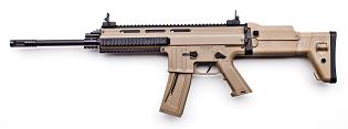 MK22 DSRT TAN FOLDING STOCK .22LR 16" 22RND