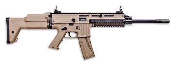 MK22 DSRT TAN FOLDING STOCK .22LR 16" 22RND